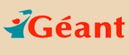 1_geant.jpg
